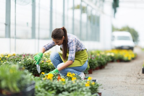 Screen-reader compatible landscaping website content for Hendon