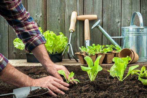 Site safety planning for a Hendon landscaping project