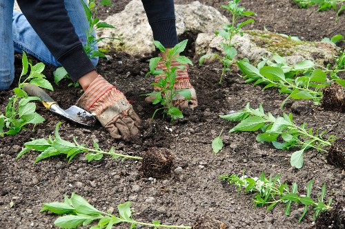 Garden design and hard landscaping features in Hendon