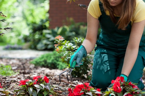 Modern patio paving options suitable for Hendon homes