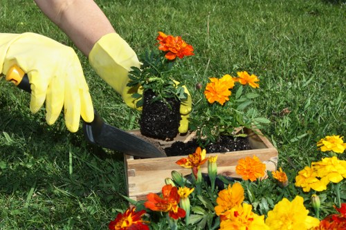 Garden landscaping pricing overview for a Hendon home