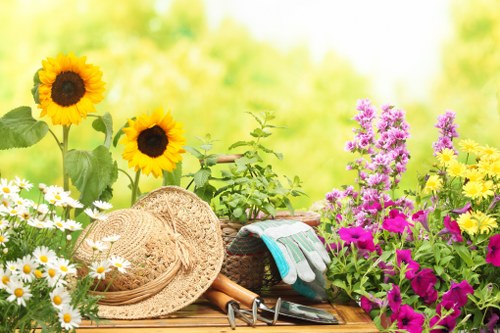 Seasonal garden clearance and landscaping estimate