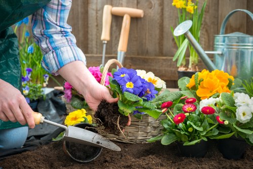 Visual of a site inspection during a landscaping complaint