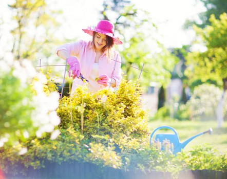 Image symbolizing a fair resolution in landscaping services
