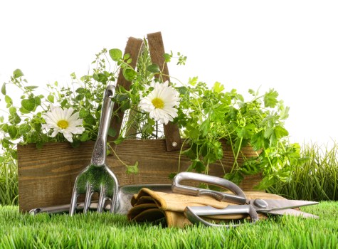 Final policy review for safe landscaping operations and standards