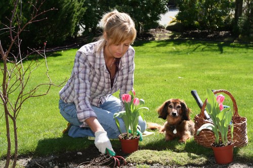 Image representing an assessment of landscaping work