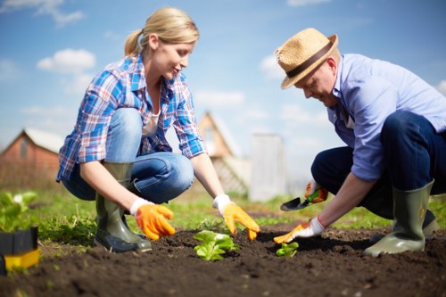 Local garden design and build service for Hendon homes and businesses