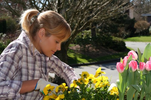 Hendon outdoor space planning with planting and paving details
